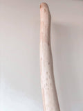 Plain Didgeridoo