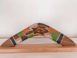 'Turtle' Boomerang