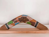 'Turtle' Boomerang