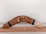 'Turtle' Boomerang
